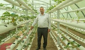 Mikro Yatırım Tarım Arazisi ve Telif Haklarına Fonlama (3)