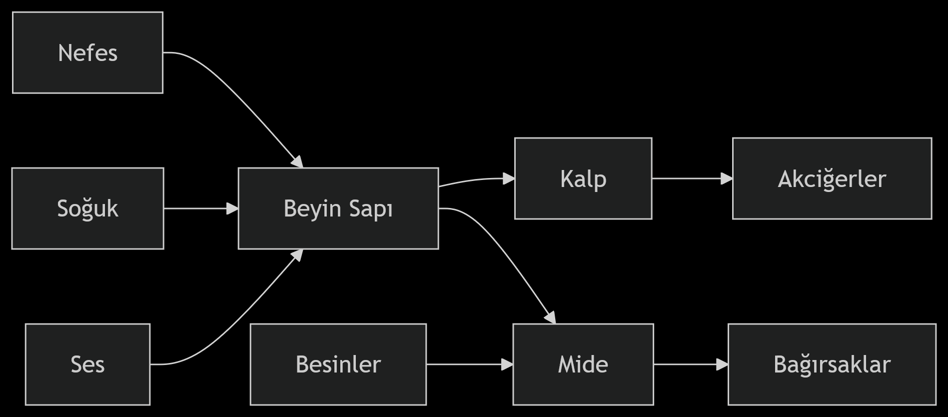 Vagus Sinirini Doğal Yollarla Uyarmanın 7 Kanıtlanmış Tekniği